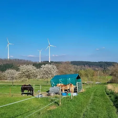 Im Schönen Taunus * Dickschied