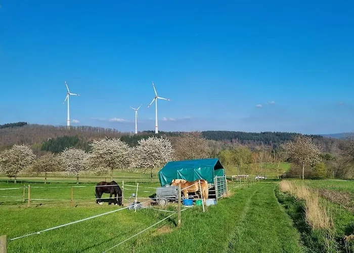 Im Schoenen Taunus * Dickschied